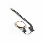 Кнопка HOME на шлейфе для iPhone 5S в сборе, золото. Запчасть